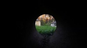 Влад А4, Глент, Кобяков и Серёга нашли Картун Кэта и спрятались от него.
