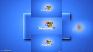 YTPMV Windows XP Scan