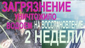 Погибший пруд + биопрепарат Микрозим Понд Трит. Технологии борьбы с загрязнением водоемов.