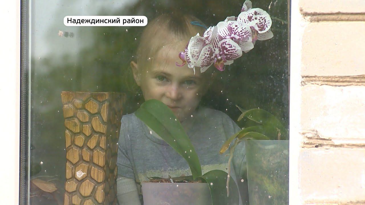 «Желаю здоровья». Приморские «бабочки» просят помочь справиться с болью