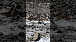 Туры в Безенги ущелье Мижирги