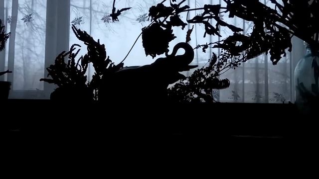 VID 20211219 102022 Бессонница ( Н. Рубцов)... Павел Васильев Лахтинский смотреть онлайн