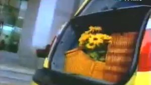 三陽 HYUNDAI ATOS PRIME(TAIWAN,1)