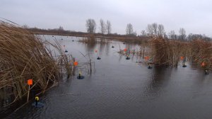 Расставили ЖЕРЛИЦЫ и уже СРАБОТКИ!! Ловля щуки на жерлицы. Рыбалка 2021.