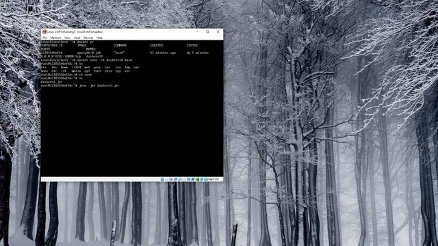 Practice task. Docker