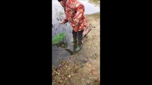 На рыбалку с Иванычем. Fishing with Ivanych. А окунь тем не менее клюёт...