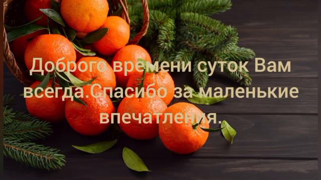 Стихотворение "Зимние подарки". Читает автор Александр Ткаченко. смотреть онлайн