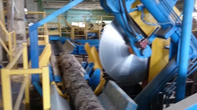 ОАО "Речицадрев" раскряжевка бревен фанерного сырья и подача на лущильные станки. смотреть онлайн