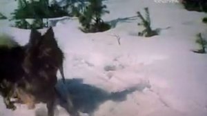 Жизнь и приключения четырёх друзей.1