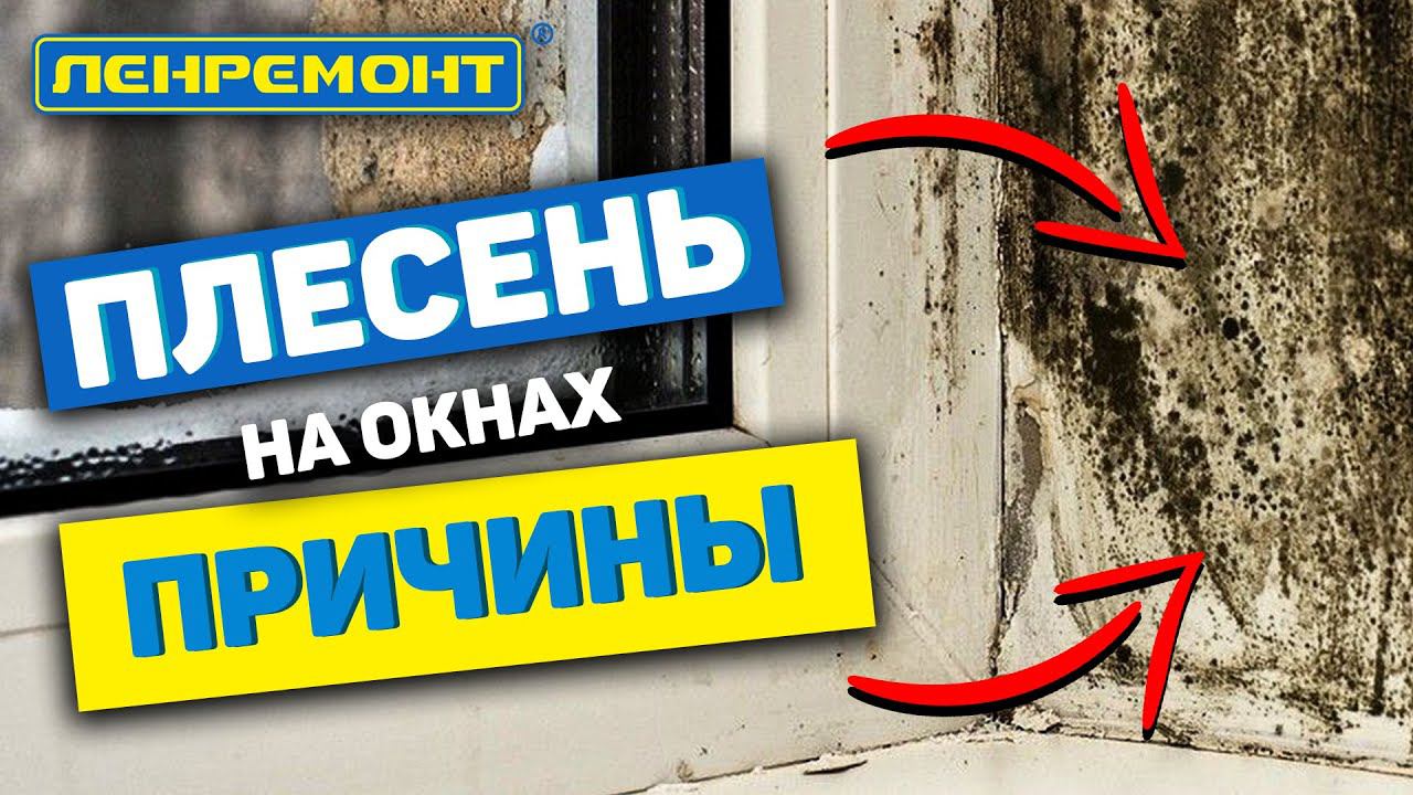 ВАЖНО! Причина плесени на окнах. Штукатурка оконных откосов I Пластиковые окна I Окна ПВХ