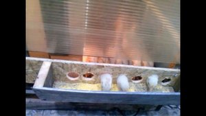 Новая кормушка в брудере для цыплят