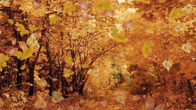 "ПЕРЕЗАГРУЗКА" Практика, которая поможет вам поддерживать в чистоте все свои тела. смотреть онлайн