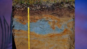 §33 "Природные зоны Арктики и Субарктики", География 8 класс, Домогацких