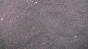Раколовка бочка на 6 входов