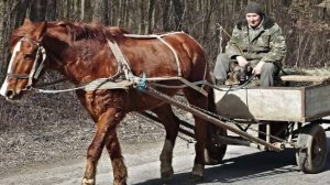 прямая студия