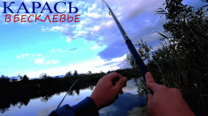 Рыбалка на КАРАСЯ 2020! Добавил это в прикормку и обловил всех в бесклёвье!!