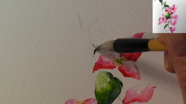 Watercolor Bougainville paint along demo tutorial смотреть онлайн
