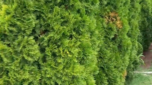 ЛЕФКАДИЯ.ЖЕМЧУЖИНА КРЫМСКОГО РАЙОНА. смотреть онлайн