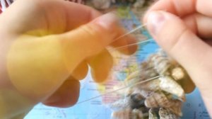 ? DIY/Как сделать браслет из ракушек??