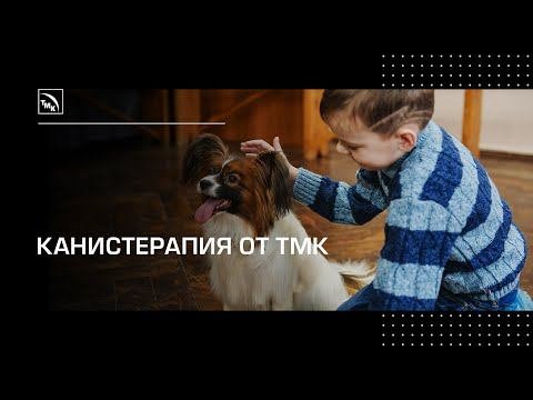 Канистерапия: помогаем детям вместе с пушистыми друзьями