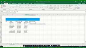 How to Calculate Age using Date of Birth in Microsoft Excel | Age Calculator in Excel