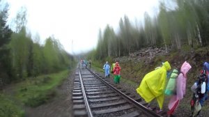 Айгир под дождем