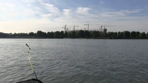 Рыбалка на Дону возле Ростова осенью 2016 года