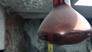 Ставлю УЛЬТРАЗВУКОВОЙ ОТПУГИВАТЕЛЬ КРЫС.