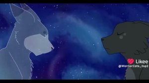 драки котов воителей