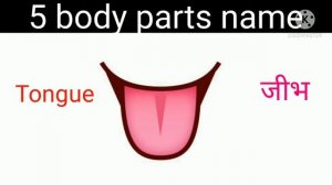 5 body parts name . English to hindi ,make by jigyasa