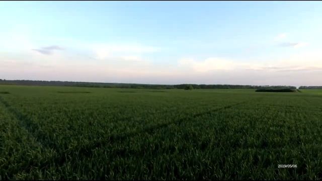 Вторая хим.обработка озимых с применением фунгицида и"Карбамида". смотреть онлайн