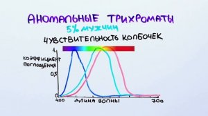 Можно ли вылечить дальтонизм