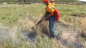 Ранцевая воздуходувка "Ангара"