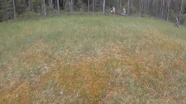 Как Поймать Щуку И Окуня Или Как Поесть Морошки На Болоте//3Часть смотреть онлайн