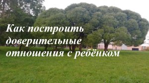 Как построить доверительные отношения с ребёнком