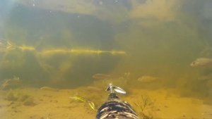 Подводная ОХОТА на ЩУКУ. ЛУЧШИЕ МОМЕНТЫ