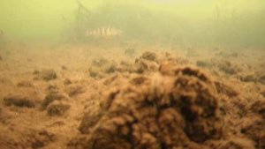 РЫБАЛКА НА РЕКЕ ПРОНЯ.mp4