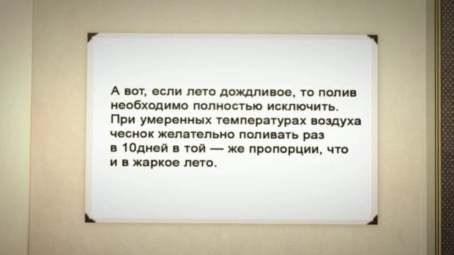 Правильно сажаем чеснок под зиму