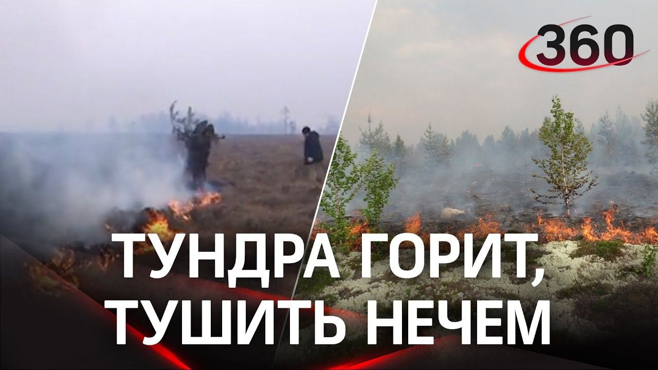 Тундра горит, тушить нечем: вода замерзла. Байден накаркал?