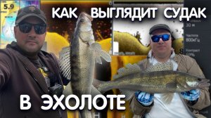 КАК НАЙТИ СУДАКА на ОКЕ! РАЗБОР скринов с ЭХОЛОТА LOWRANCE HDS LIVE