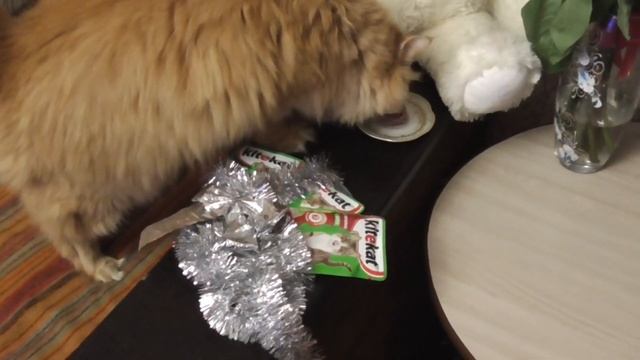 Новый год и кот. Подарок для кота смотреть онлайн