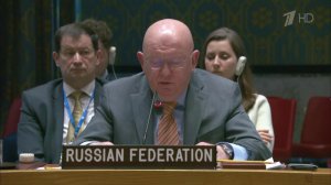 Постпред РФ при ООН напомнил о негативных последствиях теракта на "Северных потоках"