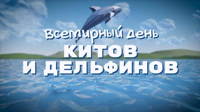 Радиожурнал Всемирный день китов и дельфинов