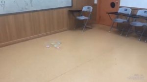 Esl classroom game. Toss the ball