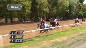 3-я Скачка. Приз «Арабский Скакун». Центральный Московский ипподром 3 сентября 2022