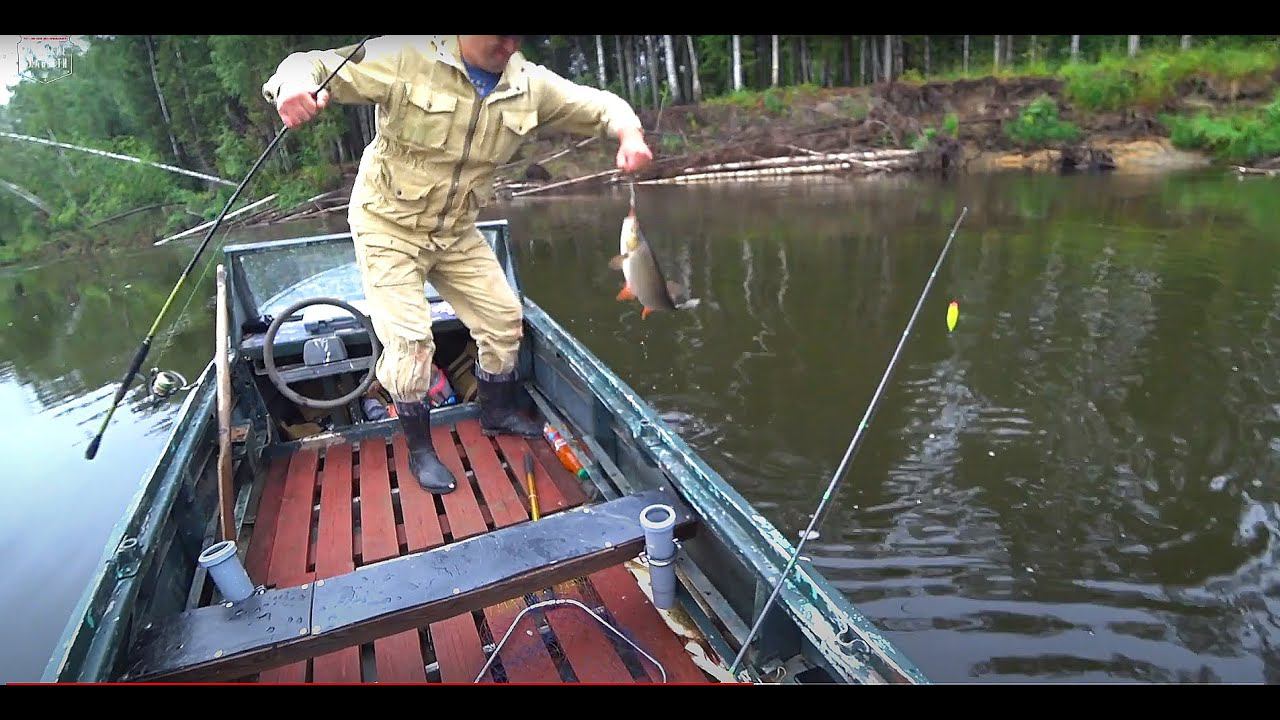 Щучья погода, рыбачим на блесну, щука с язём сошли с ума. ОГРОМНЫЕ ЯЗИ. Зрелищные поклевки щуки. смотреть онлайн