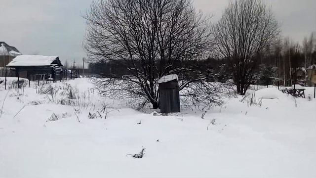 Продается участок 12.37 сот в ТСЖ "Офицерский". смотреть онлайн