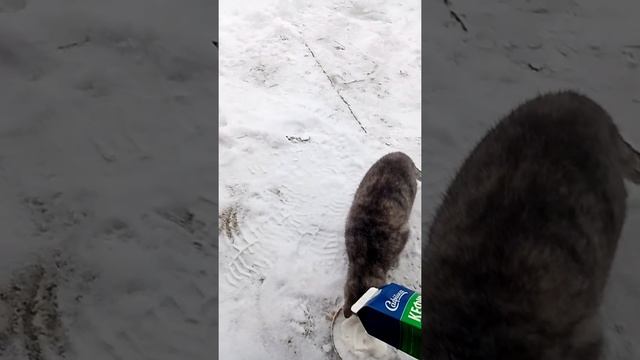 Собираюсь на рыбалку смотреть онлайн