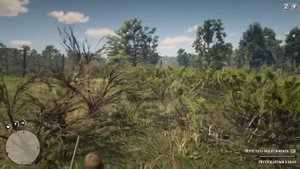 ГДЕ НАЙТИ ЛЕГЕНДАРНОГО КАБАНА В RDR2