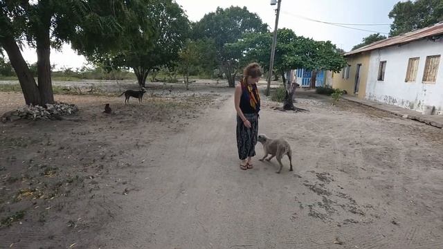 How to visit Saona Island - Isla Saona travel guide смотреть онлайн